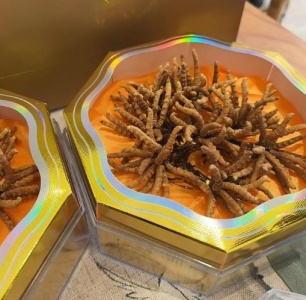 &#21916;&#21033;&#24471;&#40;&#20013;&#22269;&#41;